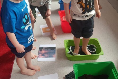 d7f7e681-1abe-4a21-b908-465a3b7e41d6